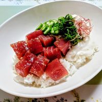 いただきます」まで10分！簡単なのに大満足の丼レシピ7選 - トクバイニュース