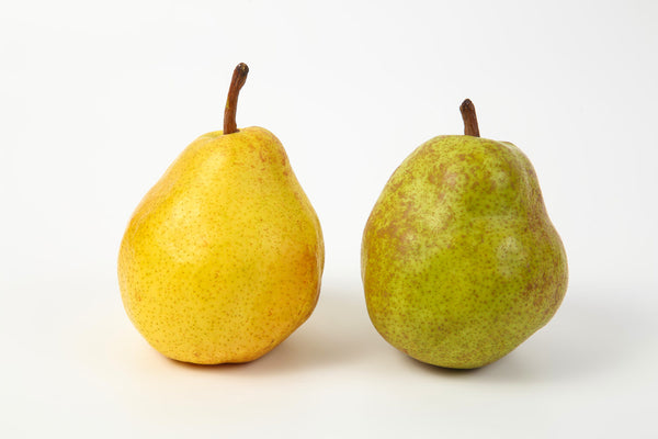 バラ科の果物一覧！イチゴや梨など意外と多いバラ科のフルーツを解説BOTANICA