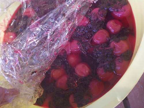 無農薬、無肥料で育てた梅から作る無農薬しそ漬け梅干し 紫蘇梅干し - 和歌山の有機南高梅専門店 やさしい梅屋さんが産地直送 通信販売 でお届け