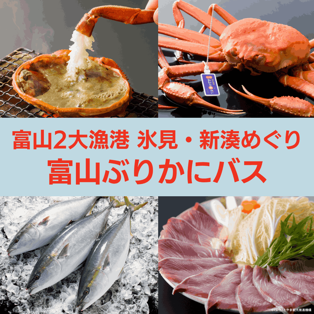 世界一情報量の多いカニ༼´◉◞౪◟◉༽kaomojziのスタンダードTシャツ通販 ∞ SUZURI スズリ