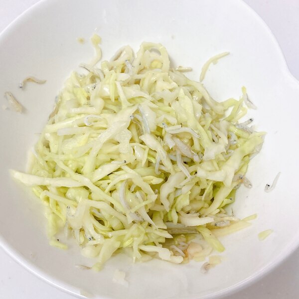 いつもの無限キャベツに飽きた人にも！ 春のキャベツレシピ2選バズグルメママテナ