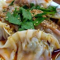 麻辣だれでいただく豚ニラ水餃子