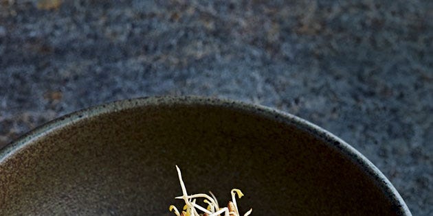 ビーンスプラウト」の画像素材 写真・イラスト- イメージマートimagemart