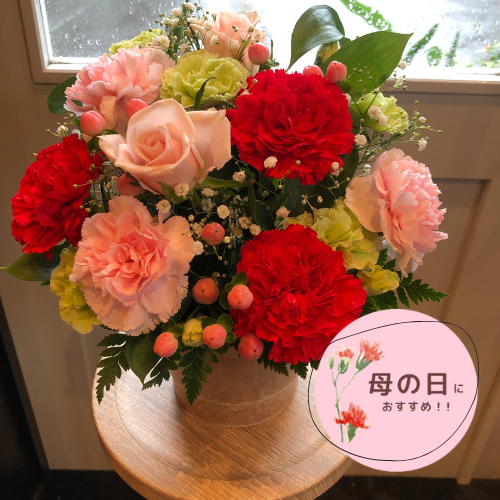 生花 染色カーネーションのお供えアレンジメント～法事・命日・お彼岸・喪中見舞いなどの供養花・ペットのお悔やみ花 送料無料 ※一部地域を除く