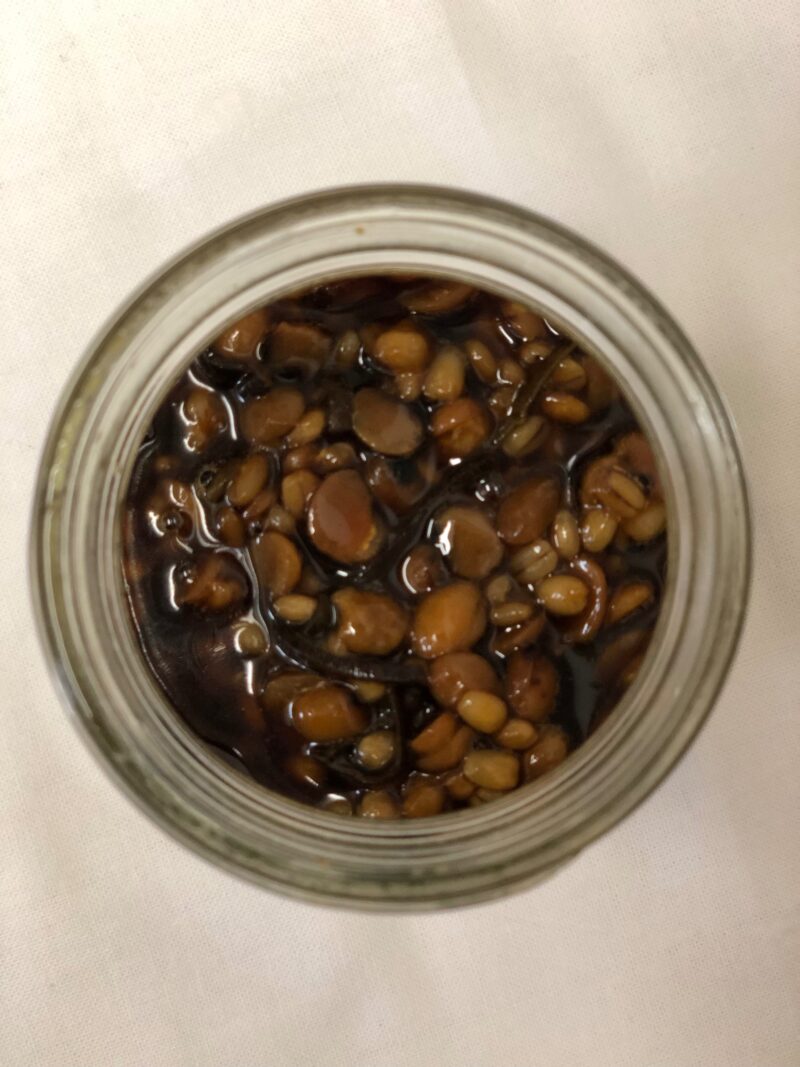 もろみ - 関戸麹屋