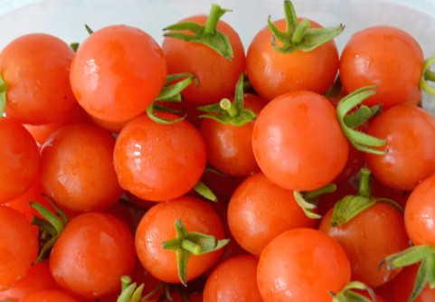 メイソンジャーサラダWEBコラム商品案内杉田エース株式会社