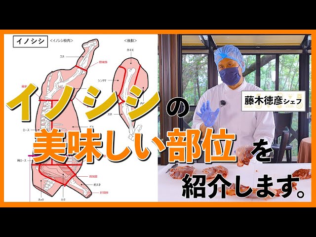 猪肉とはどのような肉？カロリーや栄養・レシピもご紹介デリッシュキッチン