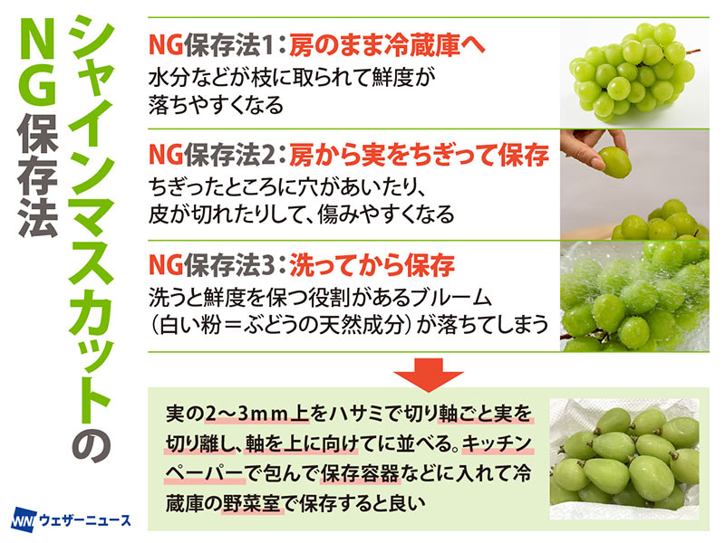 意外!?ぶどうは冷凍保存ができる！冷凍シャインマスカットの味、風味はどうなる？暮らしニスタ