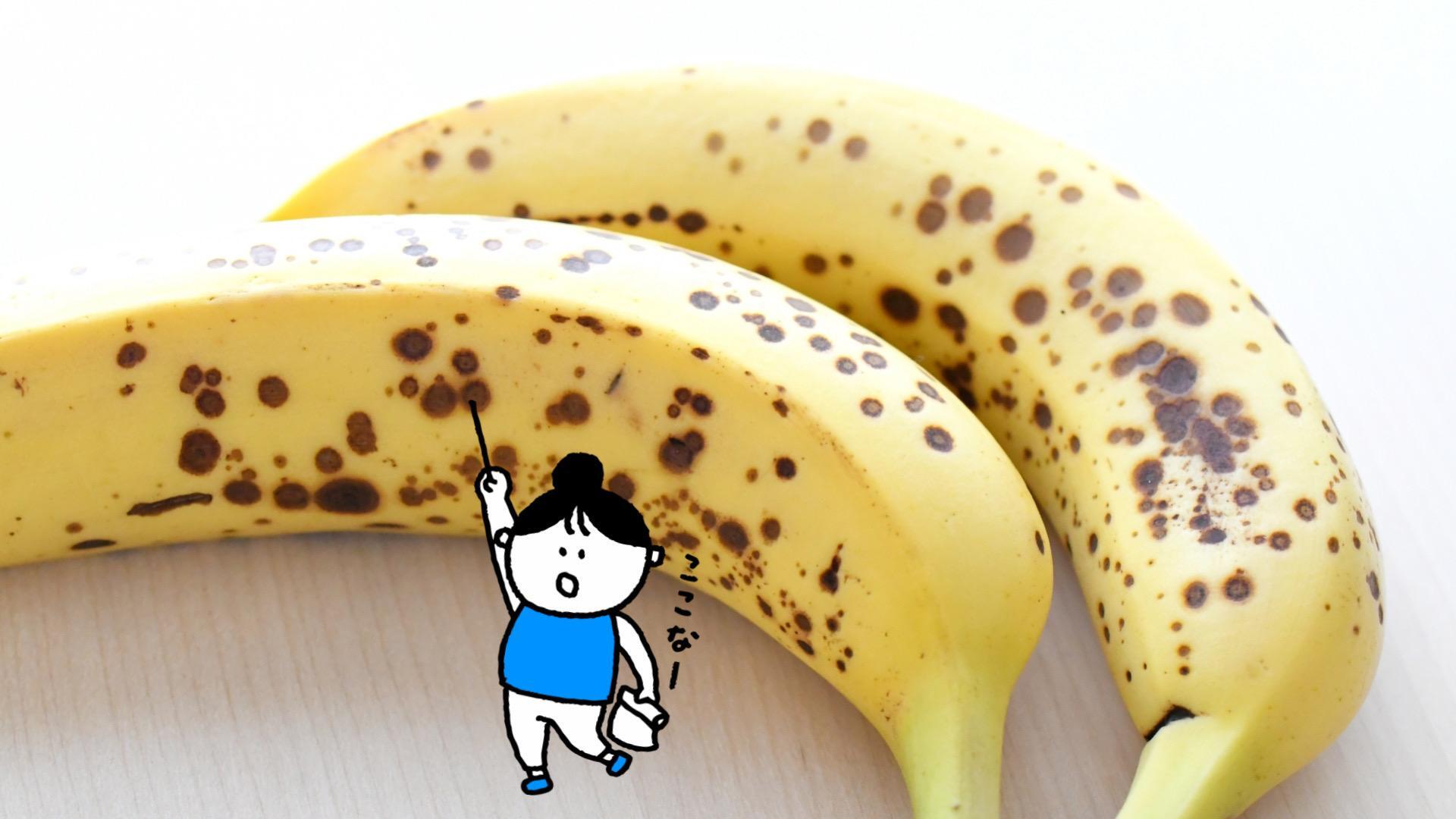 常温はNG？ バナナの新しい保存方法１週間経っても黒くならない！意外な保管場所とは？ ぱぷちゃん- エキスパート - Yahoo!ニュース