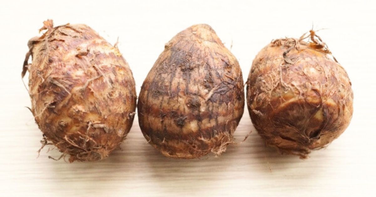 楽天市場 冷凍 さといも ホール 500g 神栄 冷凍野菜 惣菜 便利 弁当 ストック 仕出し 和食 煮物 里芋 サトイモ 6800009198 :海産王子