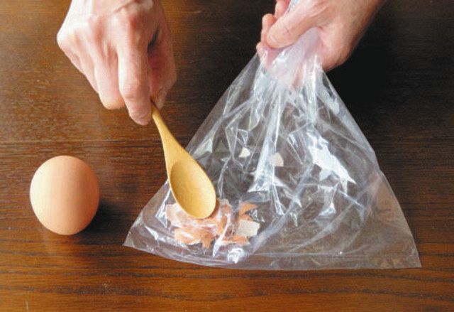 目からうろこ 卵の殻のとんでもない活用法教えます カーメン君園芸ガーデニング初心者