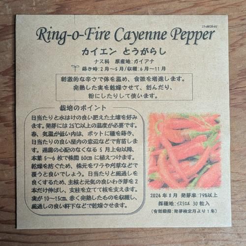 パキラの実を食べるのは危険？毒性の有無と安全な食べ方とは？ – 観葉スタイル：観葉植物の室内植え替え・インテリア情報