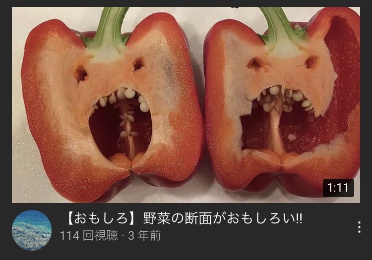 食材_野菜_セット 断面 2イラスト - No: 1475060無料イラスト・フリー素材なら「イラストAC」