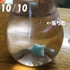 キラキラ光る砂糖菓子「琥珀糖」を作ってみよう夏休み自由研究工作4yuuu