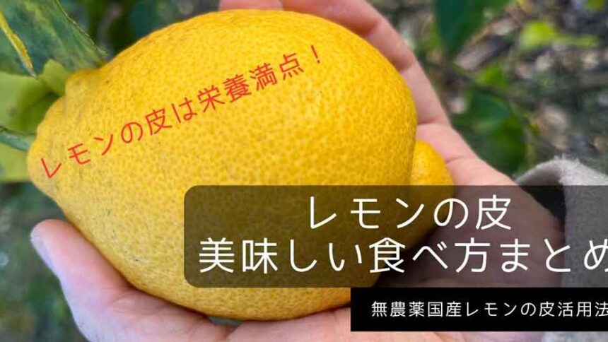 無農薬レモンのレシピと料理アイディア570件Snapdish スナップディッシュ