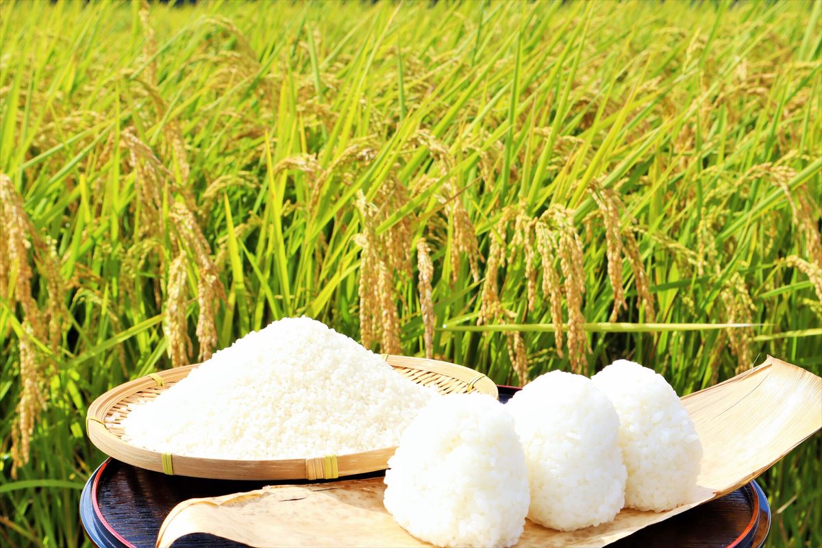 秋×食べ物×予算8,000円以内×30代男性の人気おすすめランキングベストオイシ