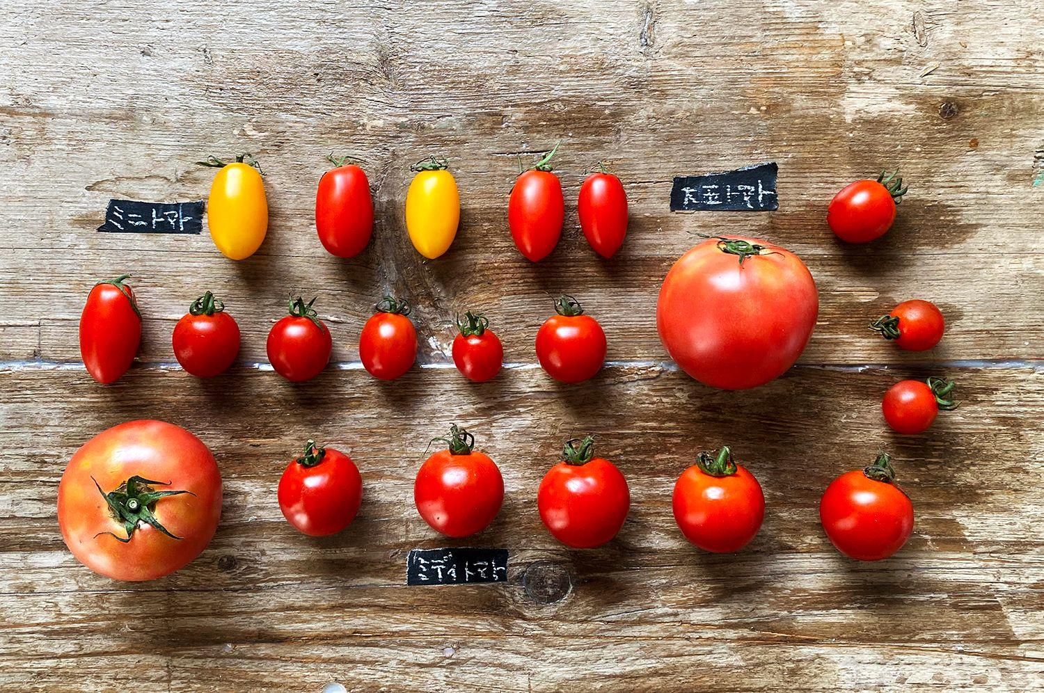 急な暑さ対策「1日1個のトマト」がオススメ - ウェザーニュース