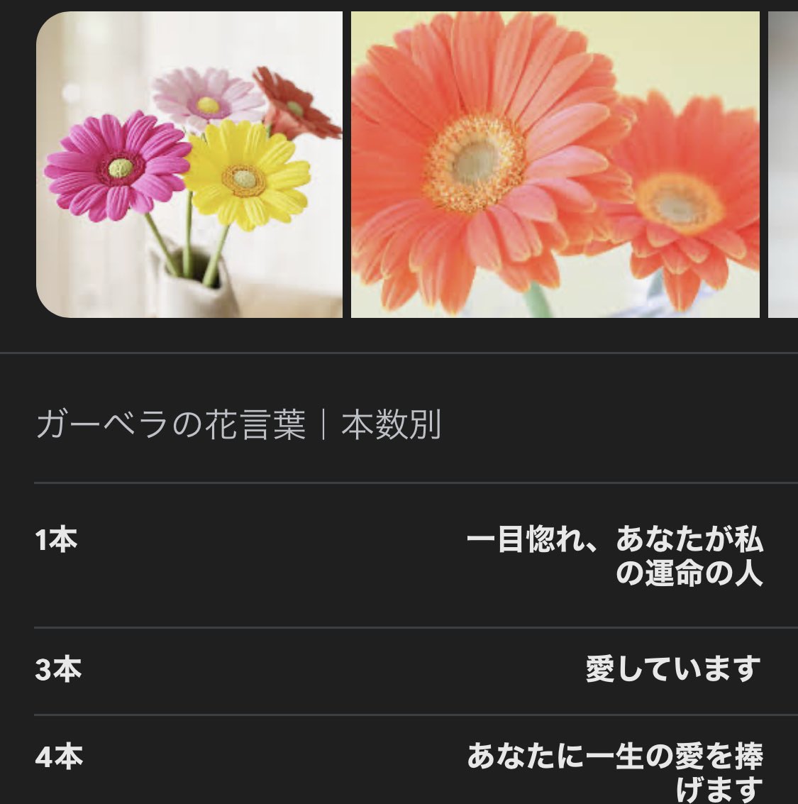 もったいない花いちばガーベラ20本 通常15本+5本増量1-４色アソートnoemie ノエミ