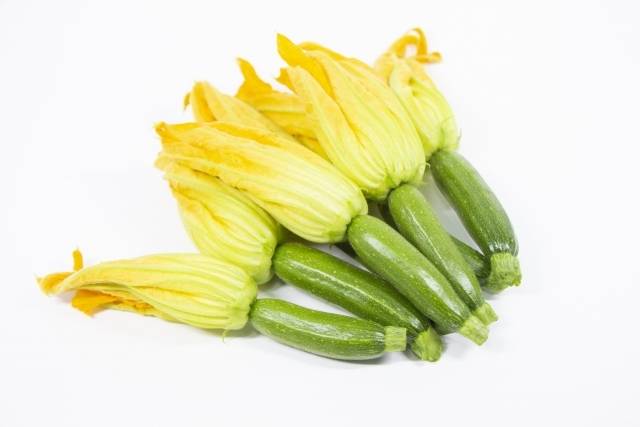 ズッキーニ 黄 八ヶ岳Honda菜園野菜づくり web magazine耕うん機Honda