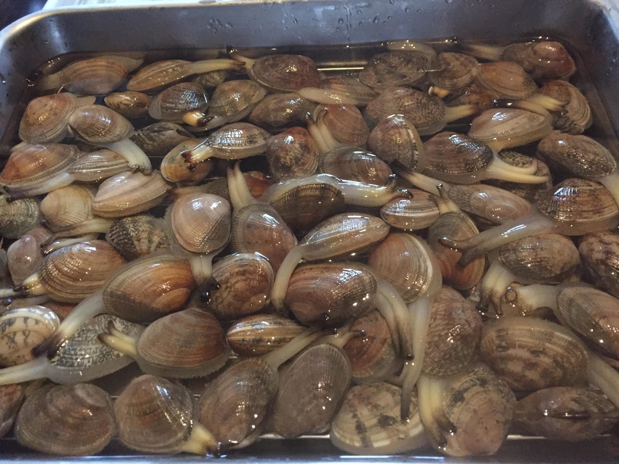 ⌇味付けいらずの簡単レシピ‪𓂑 𓌈 ‎ ⁡ @yoshinoya_co_jp 様にいただいた牛丼で チーズinコロッケを作りました ⁡中のチーズがとろーん🥹 ⁡ 食べない系男子の👦🏻も コロッケだけは完食 ̖́-しかもソースつけずに⁡ その他は全部母が食べました🥢 ⁡おうち居酒屋‬