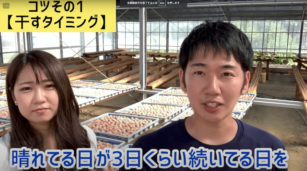 簡単！梅干し作りでザルがない時でも代用できる干し方梅干し通販店 五代庵