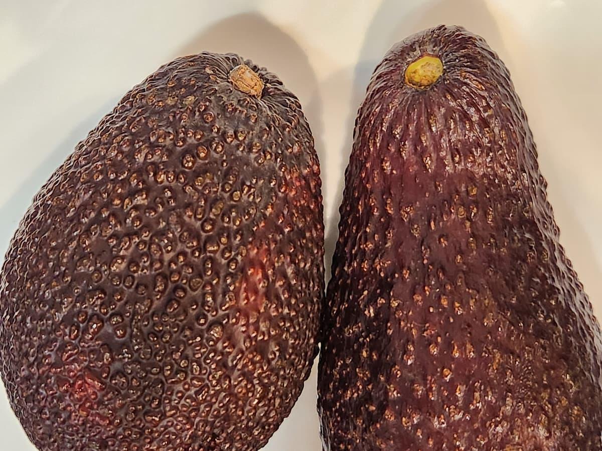 アボカドの中に、濃い茶色の穴があるんだよね。いつもこんな感じのアボカドばっかりなんだ。これって何？食べても大丈夫なの？ : r fruit