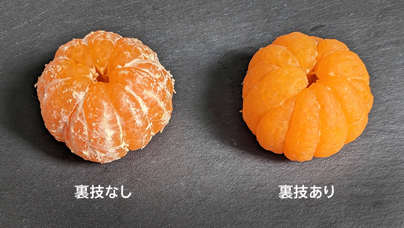 みかんの皮の面白い剥き方 by cafe-cafeクックパッド簡単おいしいみんなのレシピが392万品