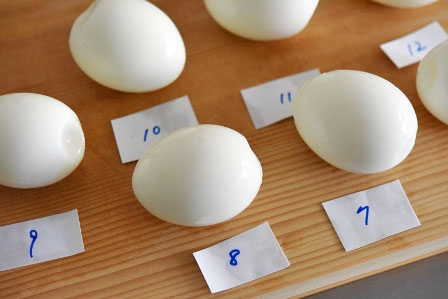 楽天市場 ゆでたまごメーカー 最大7個 ゆで時間調整 卵 たまご 温泉卵 半熟卵 固ゆで エッグスチーマー ゆで卵 ランチ 朝食 サンドイッチ 味玉サラダ 便利 時短 料理 蒸し器 ゆで卵職人 送料無料 : 日本海珍味店さとも屋