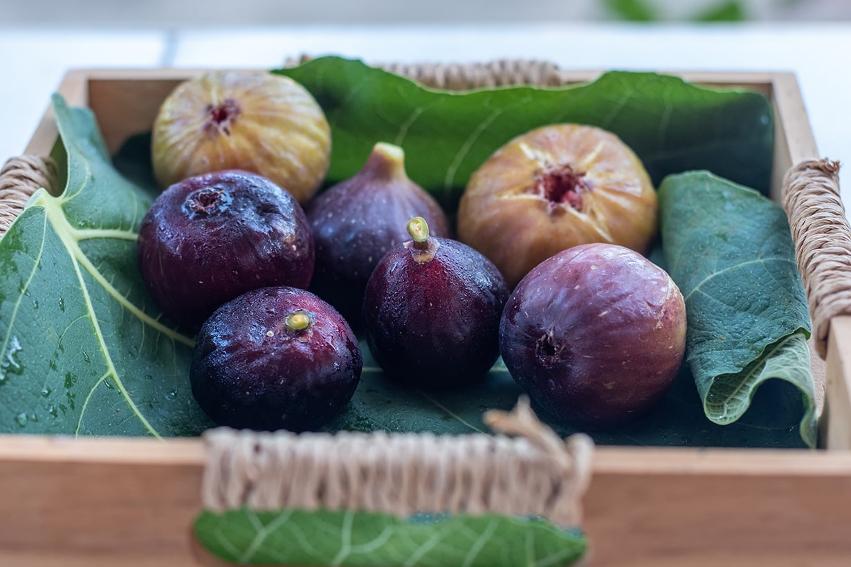 イチジクの栽培方法・育て方は？収穫時期・おすすめ品種も紹介タキイネット通販