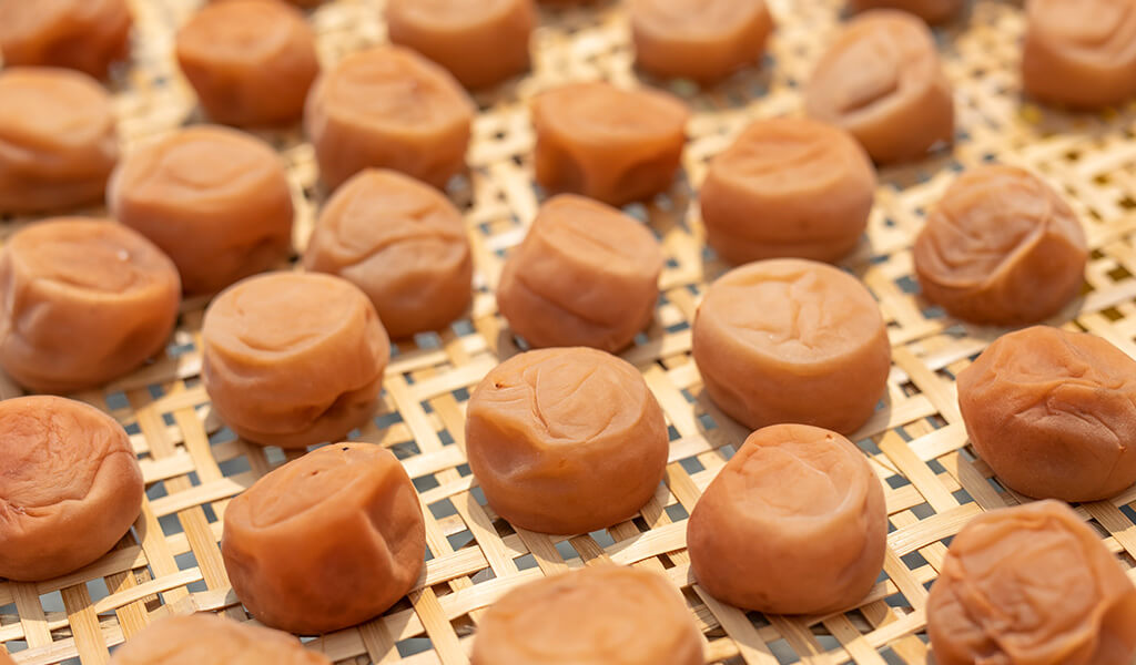 干さない梅干 美味し : シーバス電脳日誌 ロードバイクでサイクリングも