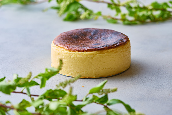 まるで本物のチーズ？名駅『ティフィン』の「Anime チーズケーキ」が最高に可愛い！名古屋情報通