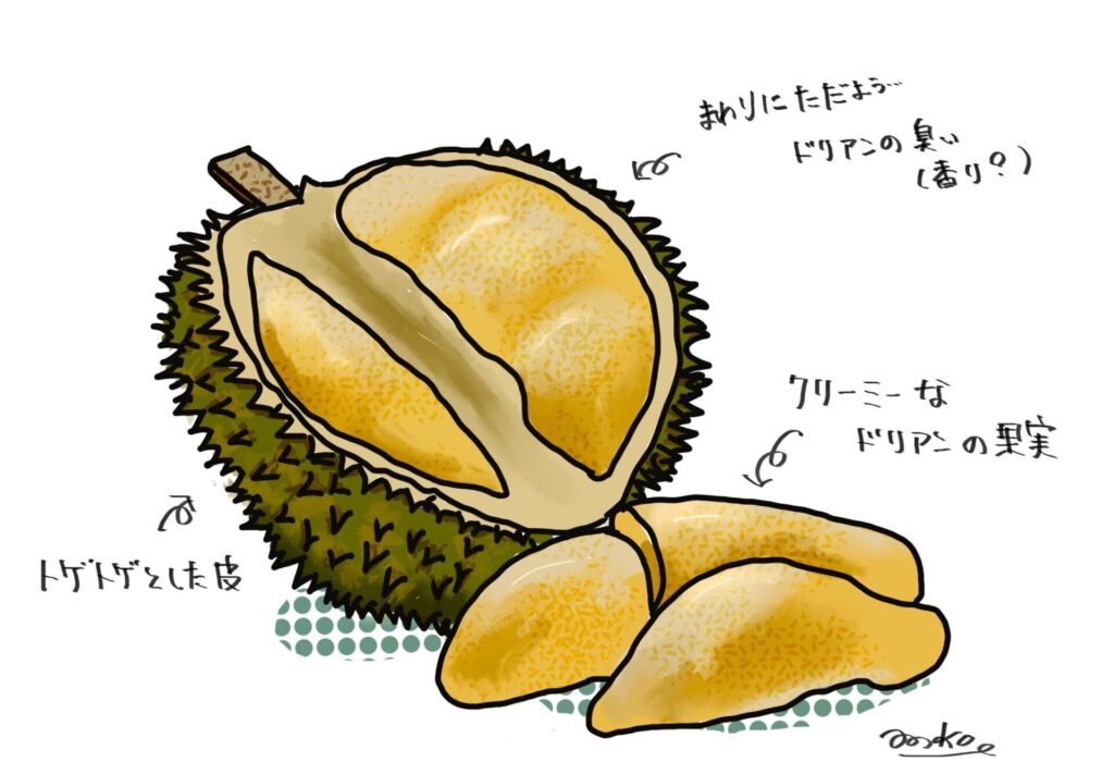 1歳の娘と『世界一臭いフルーツ』を食べてみたら衝撃的だった ムサンキング ドリアン- YouTube