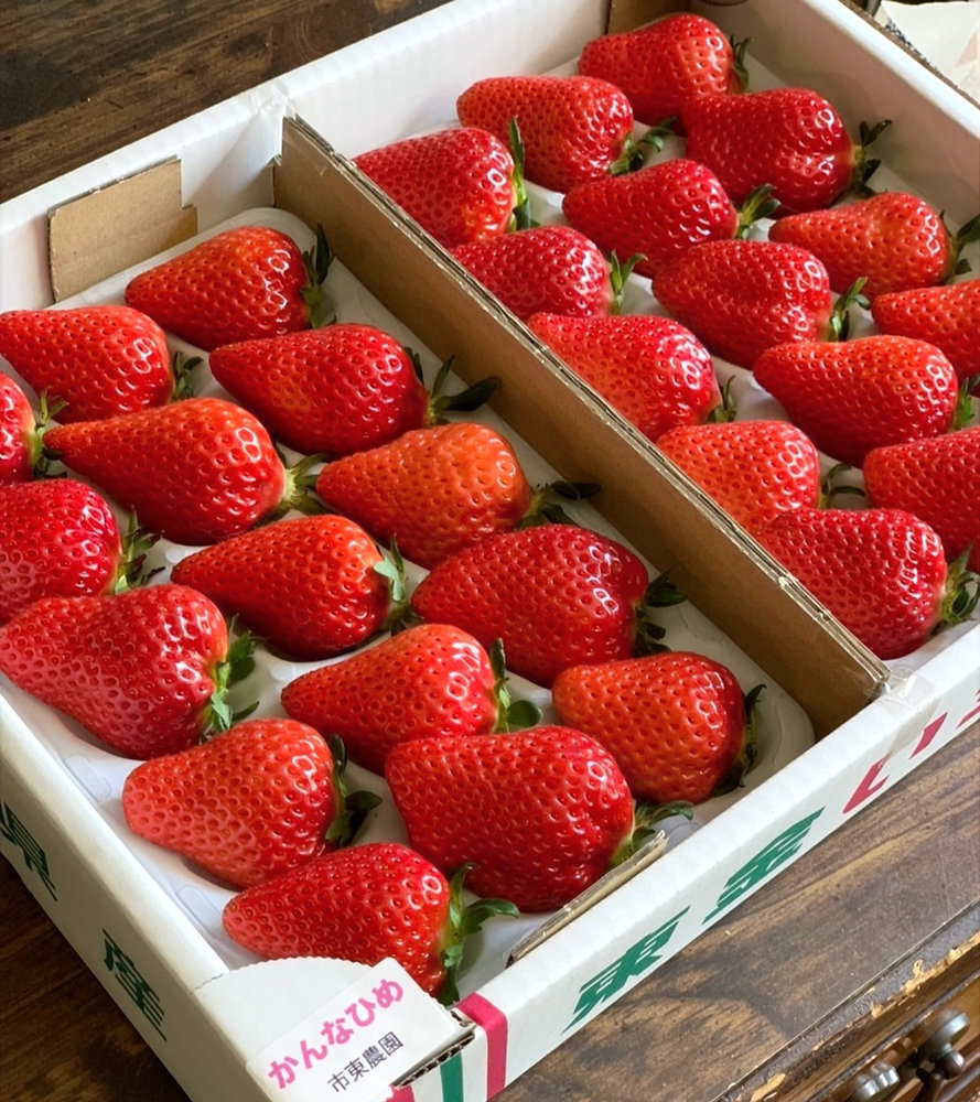 一宮市 １２月頃、三ツ井にいちごの直売所「いちごの大地」がオープンするそうです！号外NET 一宮市