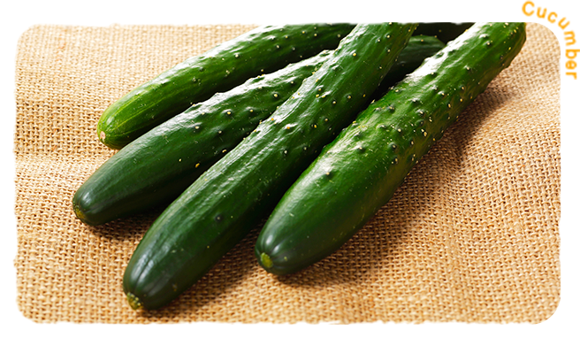 自然食宅配ゆうきネット自然の食材・野菜セット新鮮野菜