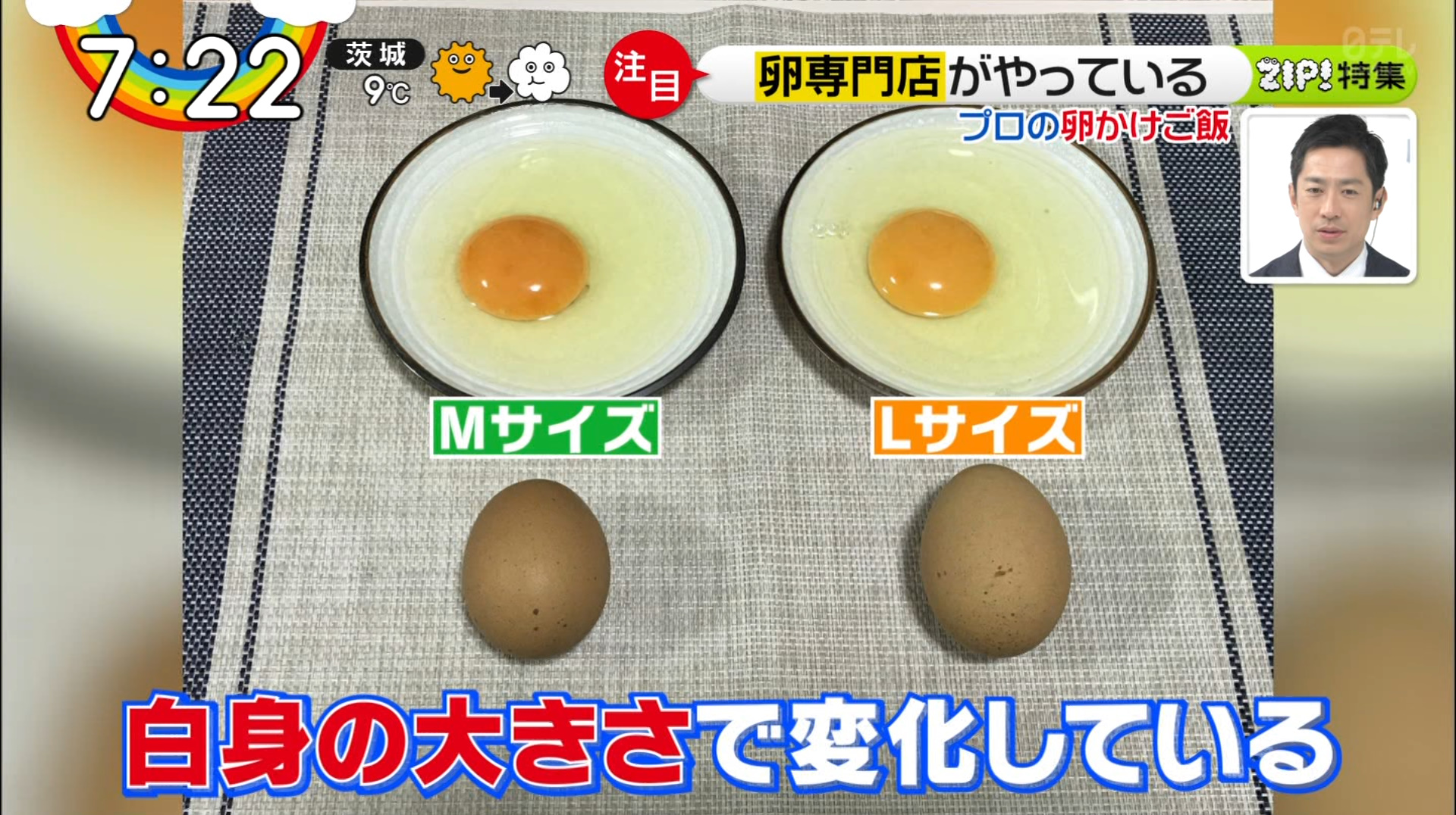 鮮やかな黄身はエサによる影響！たまごの殻の色と卵黄色の違いって？八千代ポートリ