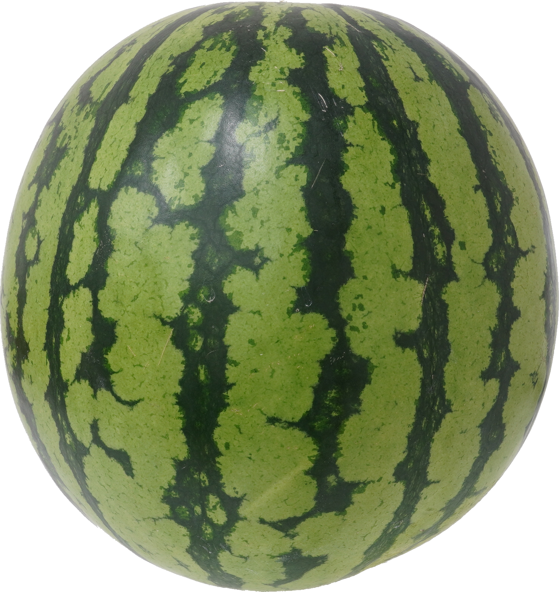 スイカ すいか・西瓜・watermelon 無料画像 – ベジタデジタ
