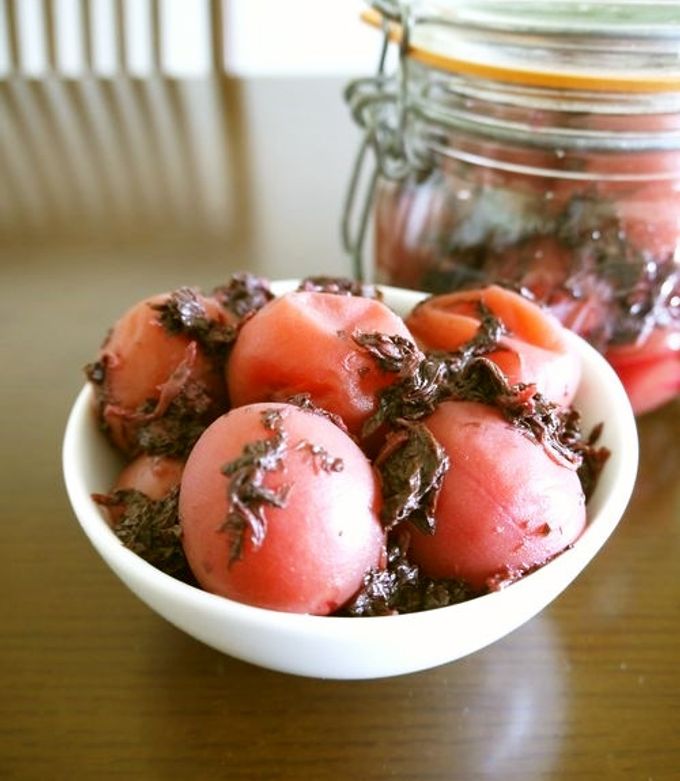 カリカリ梅は干してない？梅干しとの違いは作り方にあり！食宣伝