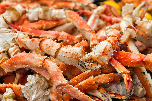 快適生活 ラジオショッピング-快適生活