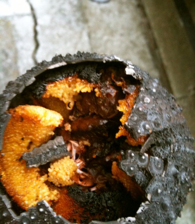 香ばしい ウニの焼きおにぎり