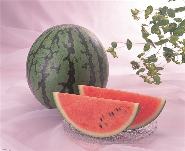 スイカの話初収穫した大玉スイカ「タヒチ」をカット ❕園芸日記by果物屋 Toshiみんなの趣味の園芸1362499