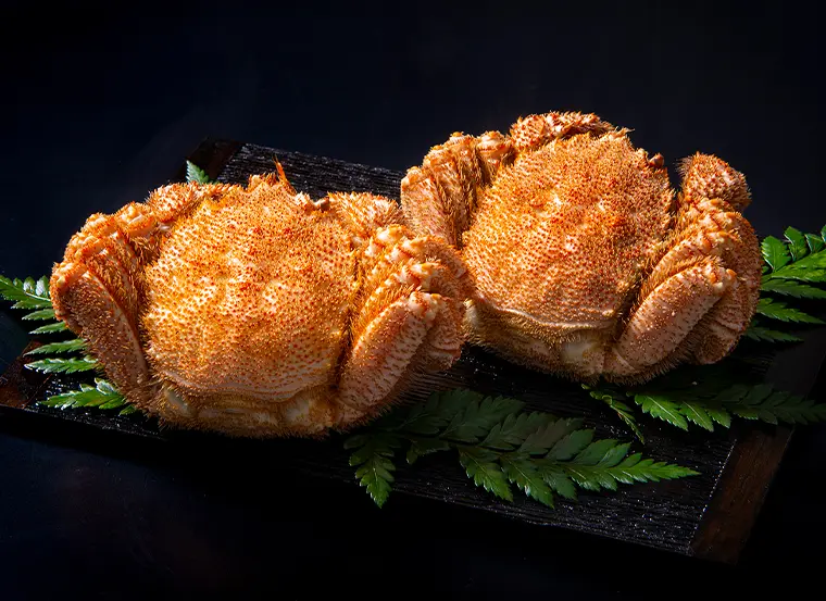 ピーマンの肉詰めOlive Oil Life オリーブオイルライフ