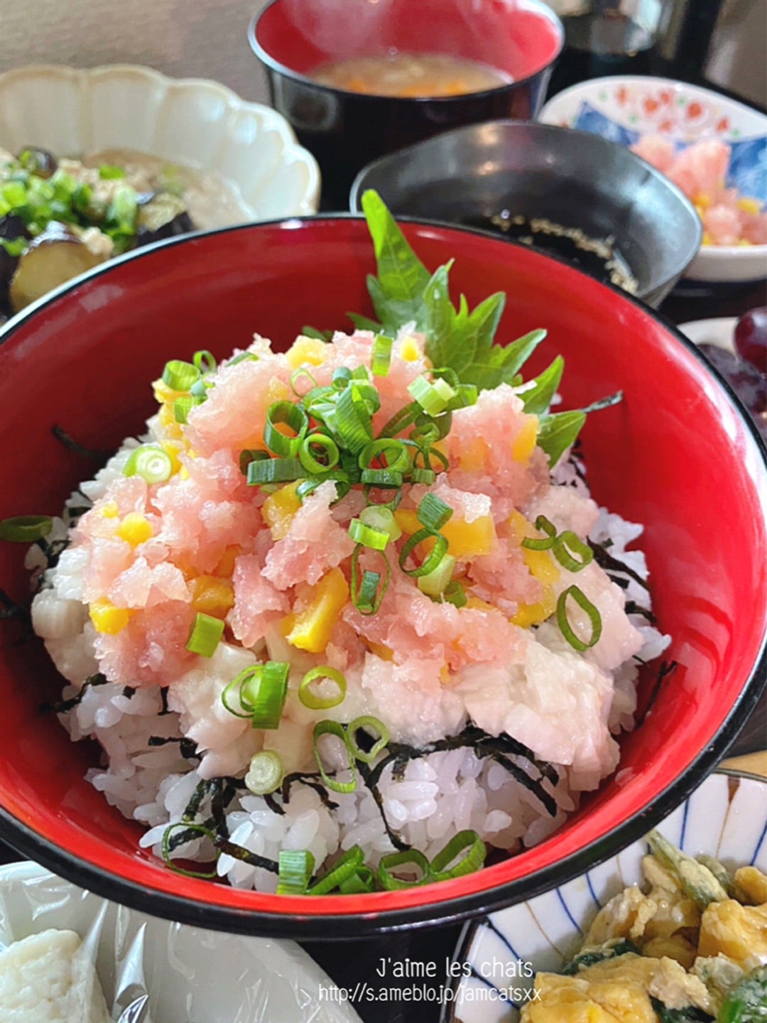 ᗦ↞ᐊ ᗦ↞ᐊ 献立 𖠅. 𖧷麦とろごはん@delonghi_japan ブラウンマルチクイック のブレンダーでふわふわとろろに感動✨𖧷鮭のあら汁 𖧷四日市風トンテキウスターソース大さじ2、醤油・みりん各大さじ1・砂糖小さじ2𖧷もやしとピーマン炒料理