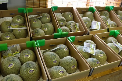 山形観光 夏の酒田を満喫しよう！おすすめスポット3選Cook meal