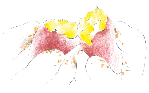 定番の組み合わせ！ なすとエリンギの和風パスタ