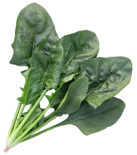 ほうれん草のツナマヨ和え