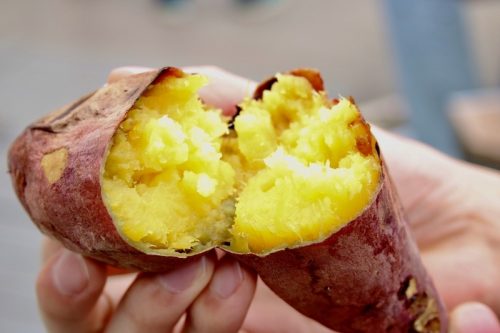 炊飯器でのさつまいもの蒸し方。水の量や炊飯器のモードはどうする