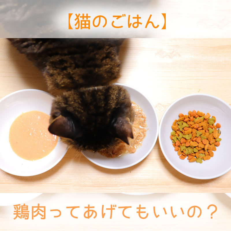 鶏肉の甘辛きのこ＆マヨソースで昼ごはん : ふたりと猫の生活