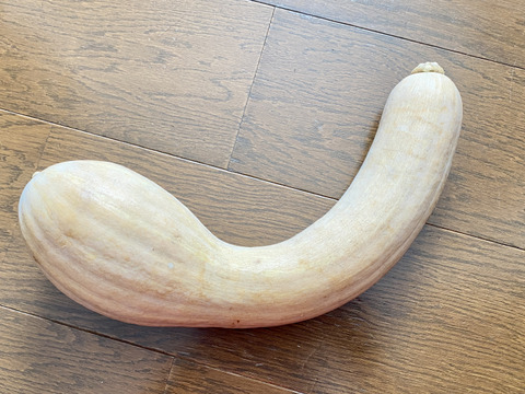 市販のソースで。鶴首かぼちゃグラタン by mokolateクックパッド簡単おいしいみんなのレシピが392万品