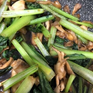 5分でできる！小松菜と舞茸のオイスターソース炒め♪