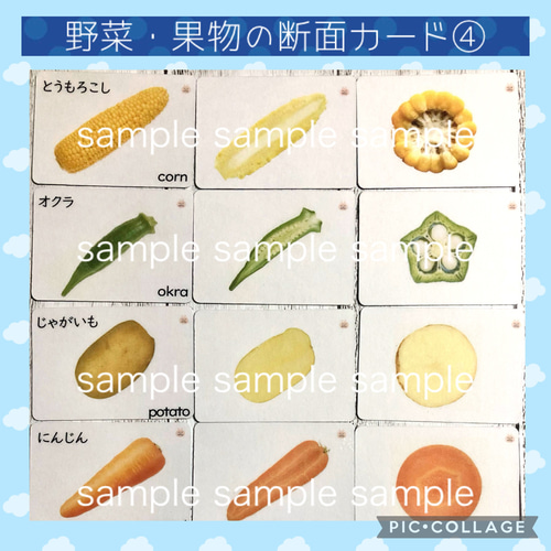 野菜の断面」のブログ記事一覧 4ページ目 -なんでも断面写真館